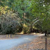 Review photo of Pfeiffer Big Sur State Park Campground by alex L., March 23, 2026