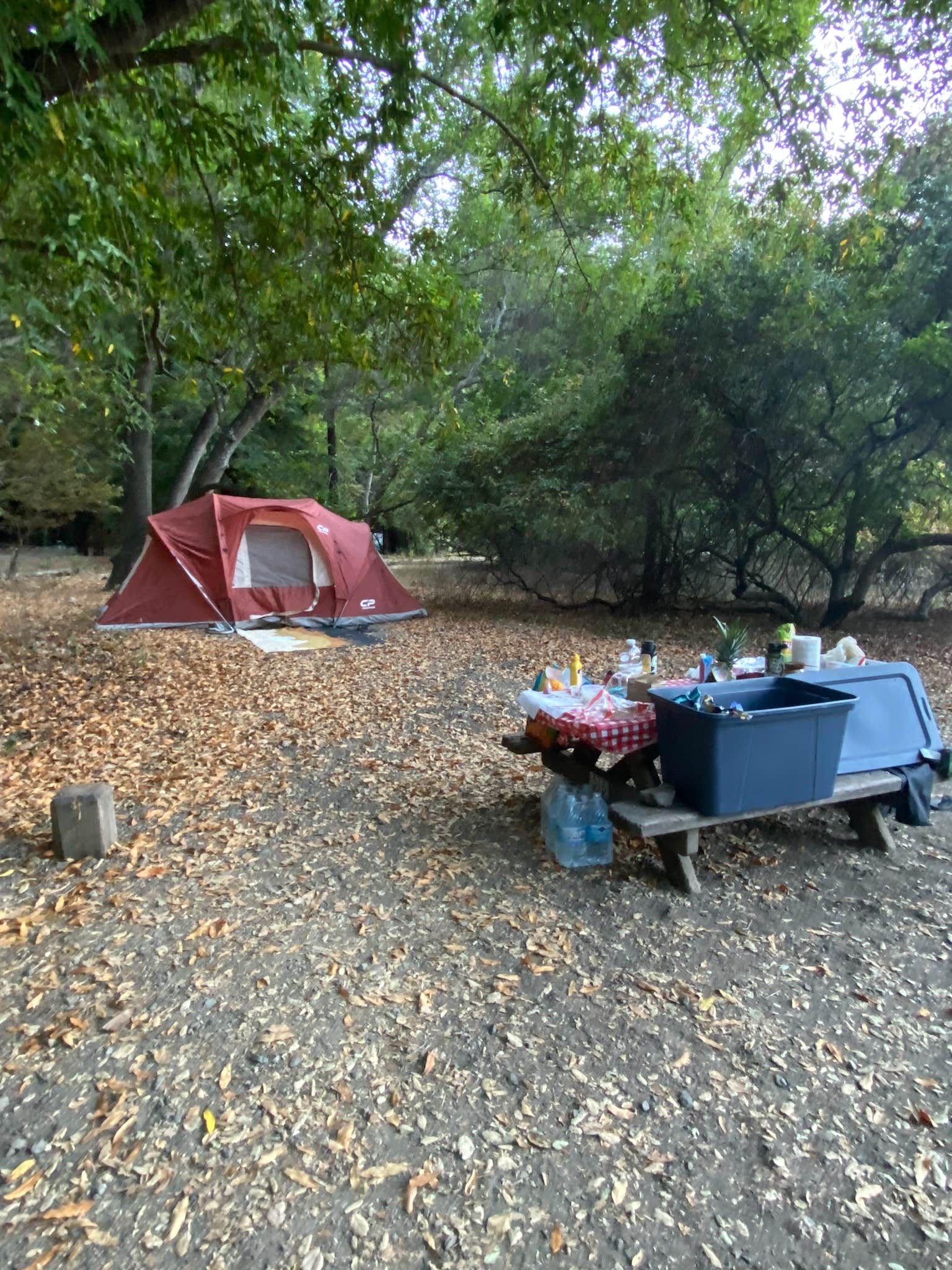 alex L.'s photo of tent camping at Pfeiffer Big Sur State Park Campground near Marina, CA