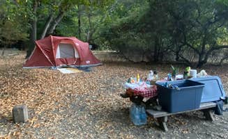 alex L.'s photo of tent camping at Pfeiffer Big Sur State Park Campground near Marina, CA