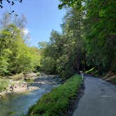 Review photo of Pfeiffer Big Sur State Park Campground by Mike M., May 31, 2025