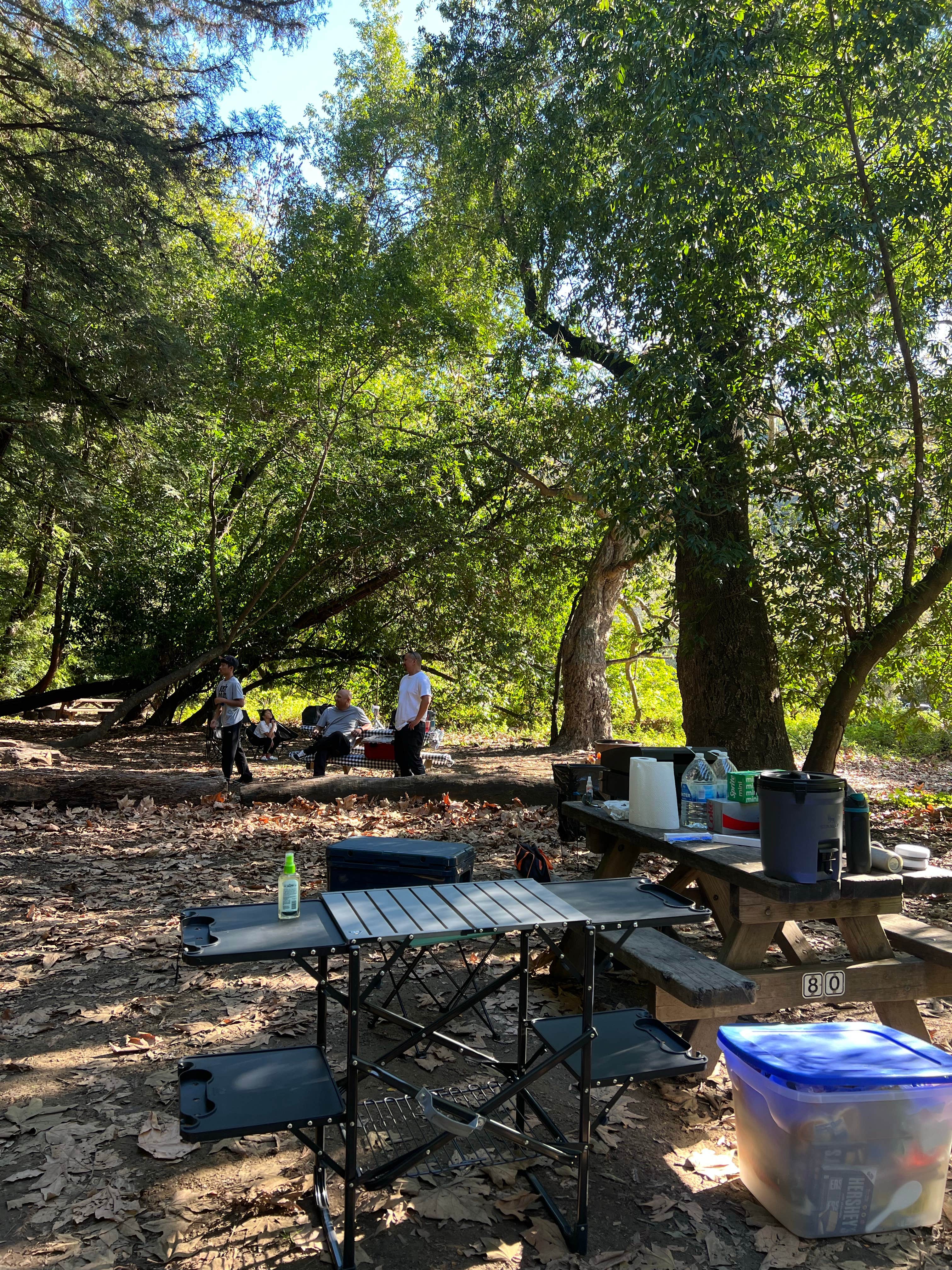 Grace M.'s photo at Pfeiffer Big Sur State Park Campground near Carmel Valley Village, CA