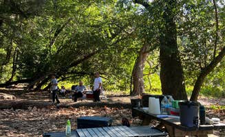 Grace M.'s photo at Pfeiffer Big Sur State Park Campground in California