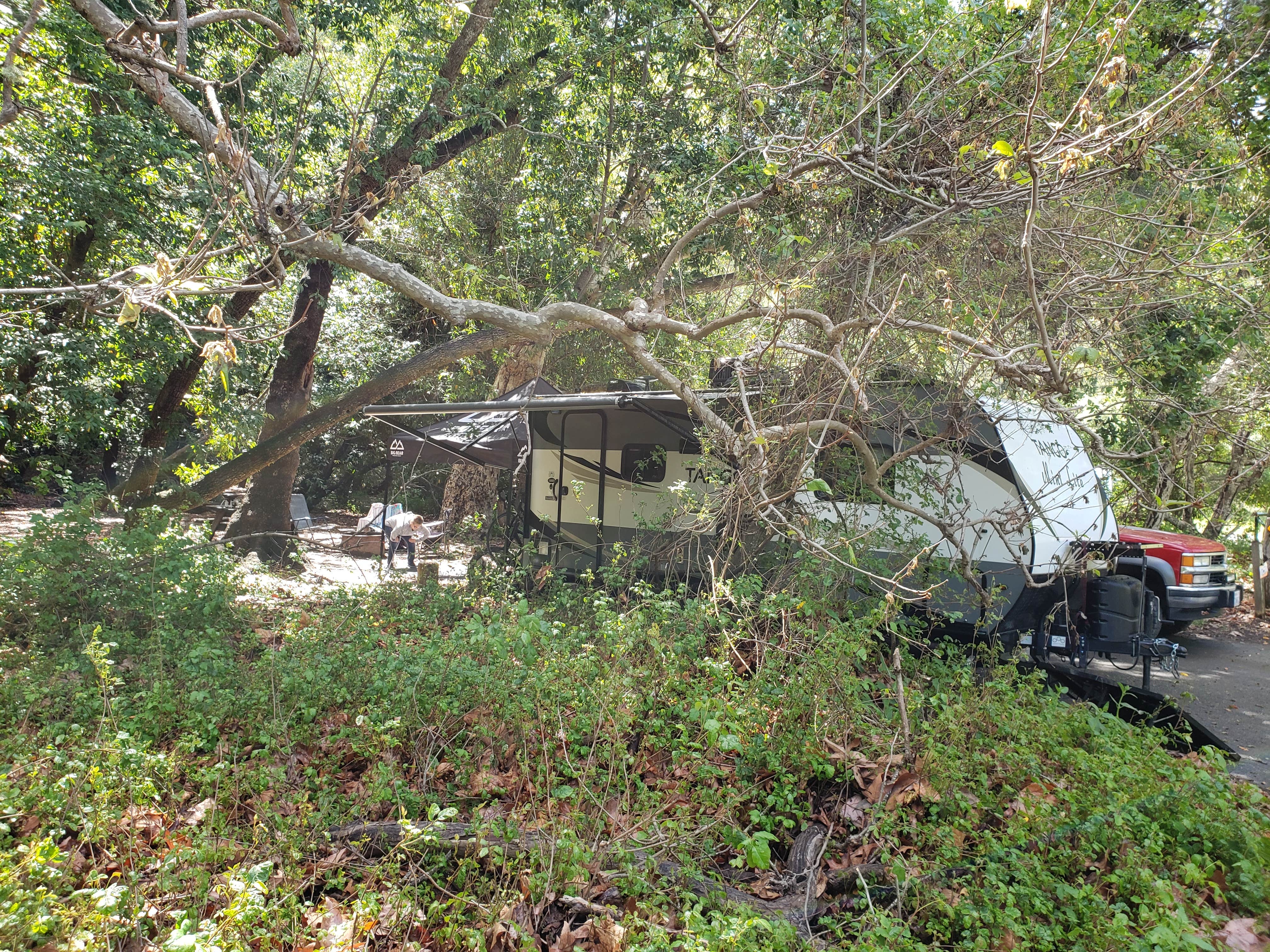 Mike M.'s photo at Pfeiffer Big Sur State Park Campground near Carmel Valley Village, CA