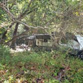 Review photo of Pfeiffer Big Sur State Park Campground by Mike M., May 31, 2025