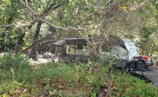 Mike M.'s photo at Pfeiffer Big Sur State Park Campground near Carmel-by-the-Sea, CA