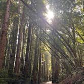 Review photo of Pfeiffer Big Sur State Park Campground by Sophia F., February 26, 2026