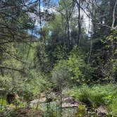 Review photo of Phantom Canyon Road BLM Sites by Hayden P., July 21, 2025
