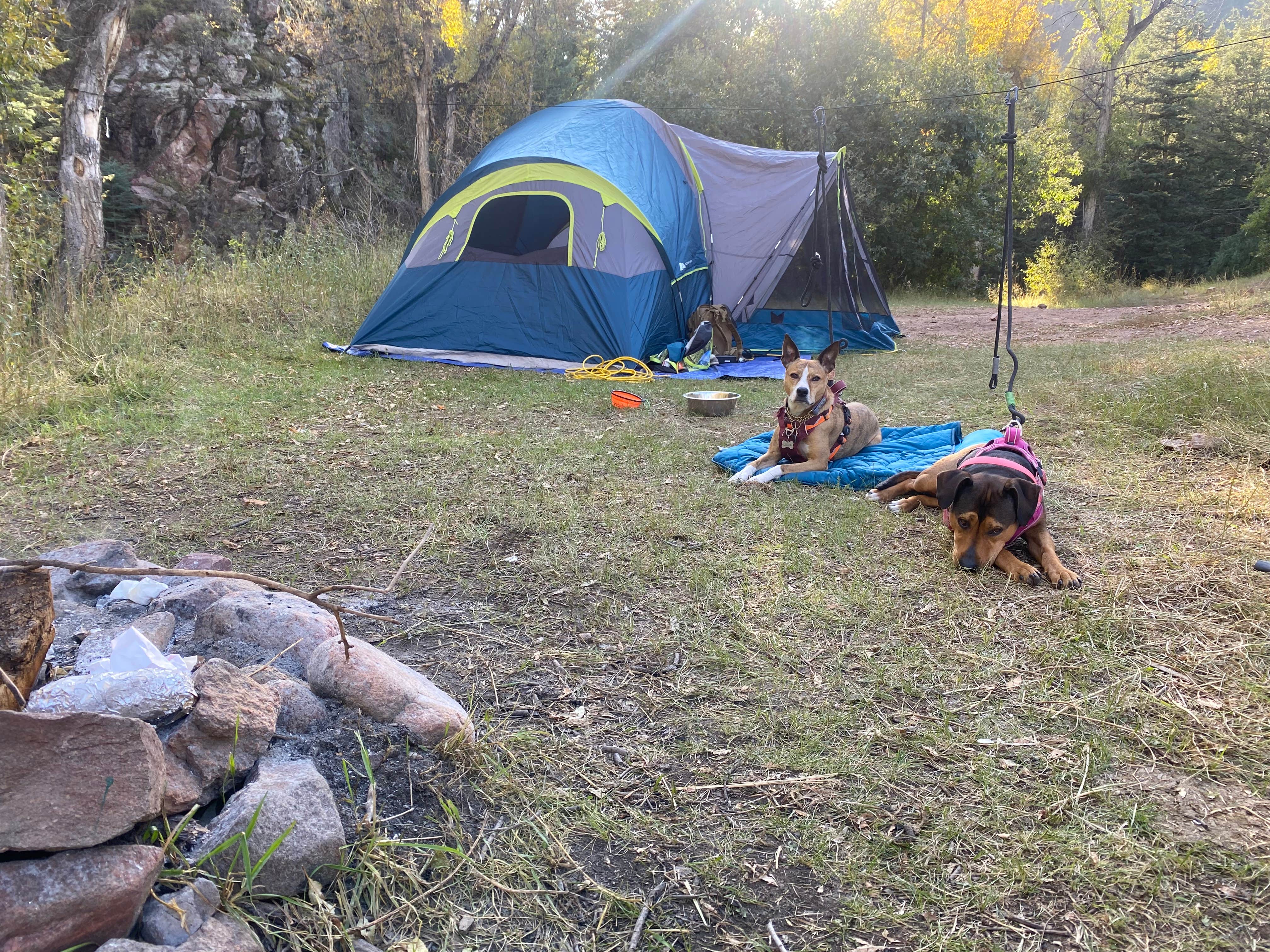 Lily R.'s photo of tent camping at Phantom Canyon Road BLM Sites near Lake George, CO