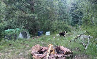 Hayden P.'s photo at Phantom Canyon Road BLM Sites near Cañon City, CO