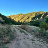 Review photo of Phantom Canyon Road BLM Sites by papa T., June 14, 2025