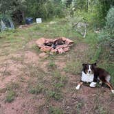 Review photo of Phantom Canyon Road BLM Sites by Hayden P., July 21, 2025