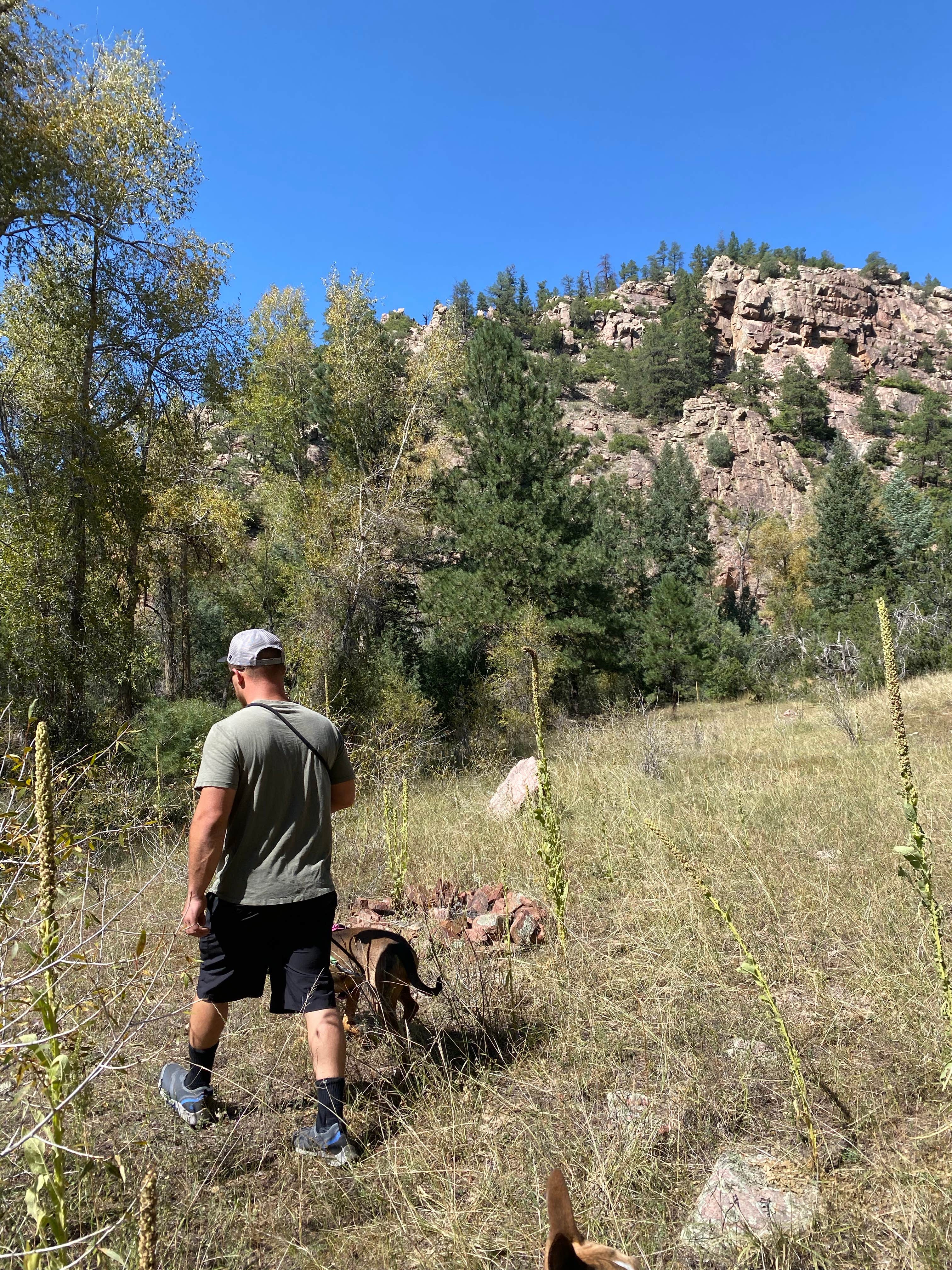 Lily R.'s photo of camping with pets at Phantom Canyon Road BLM Sites near Florence, CO