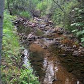 Review photo of Phantom Canyon Road BLM Sites by Max R., July 2, 2024