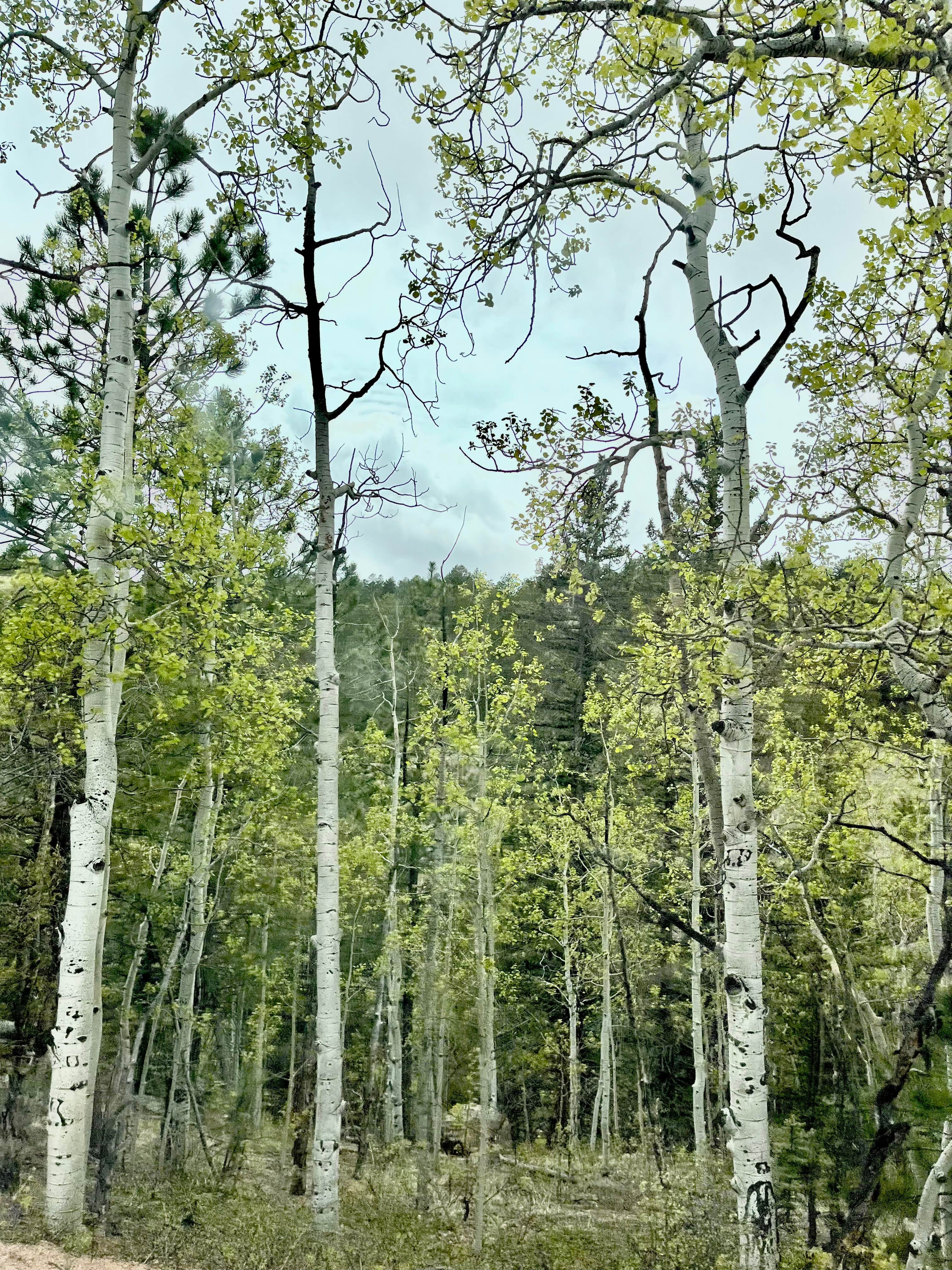 Camper-submitted photo at Phantom Canyon Road Pull-Off near Florence, CO