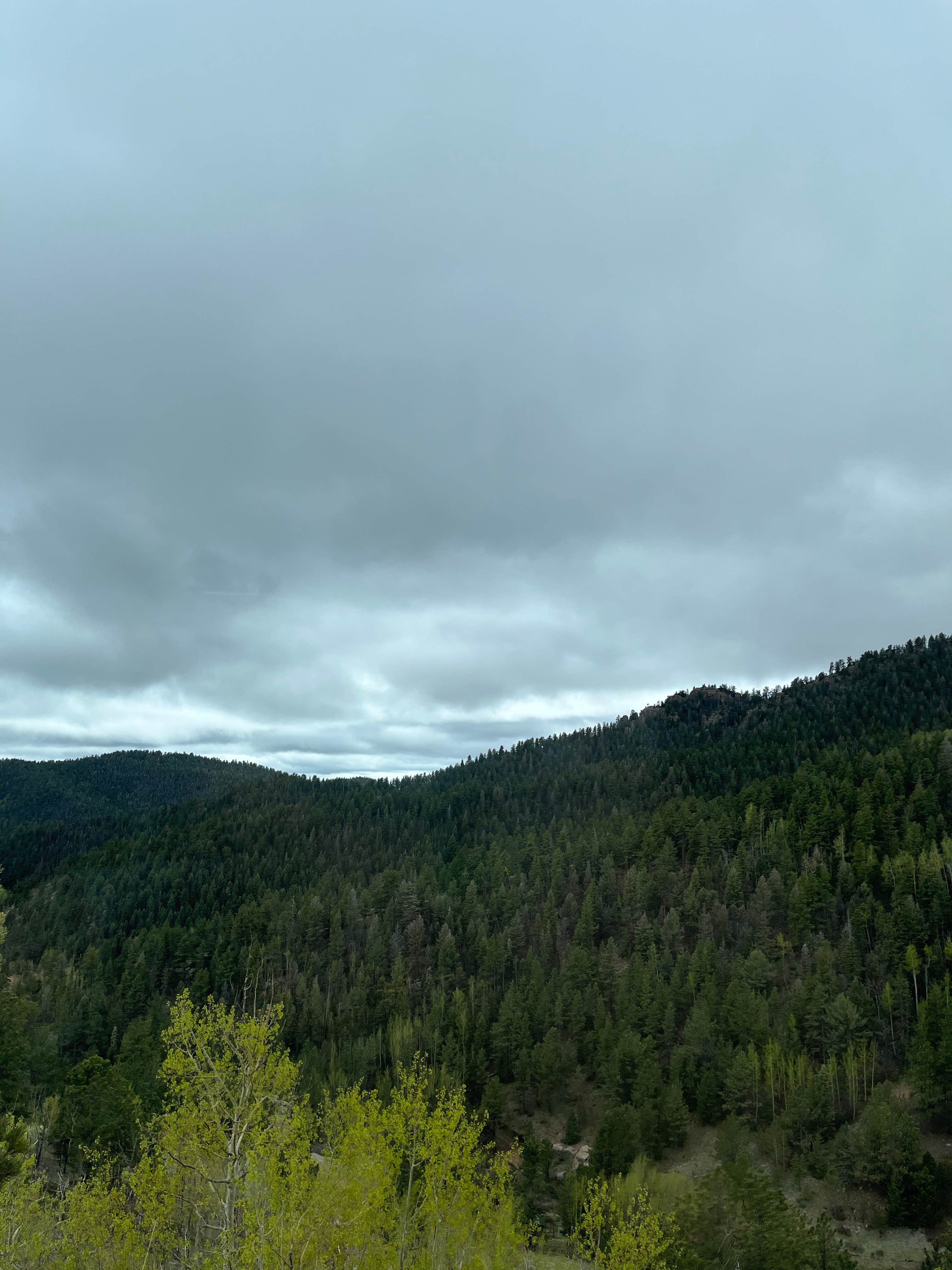 Camper-submitted photo at Phantom Canyon Road Pull-Off near Florence, CO