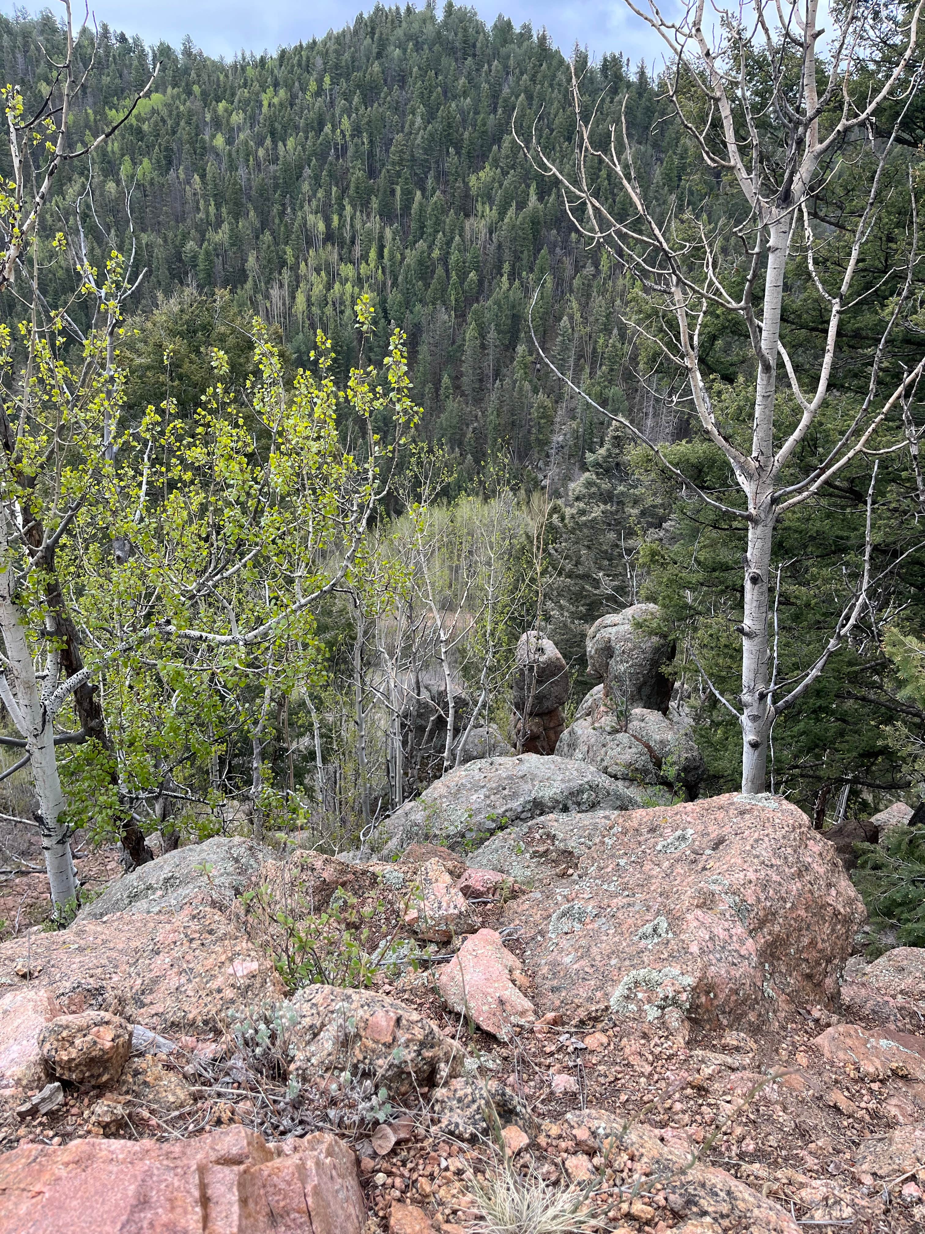 Camper-submitted photo at Phantom Canyon Road Pull-Off near Florence, CO