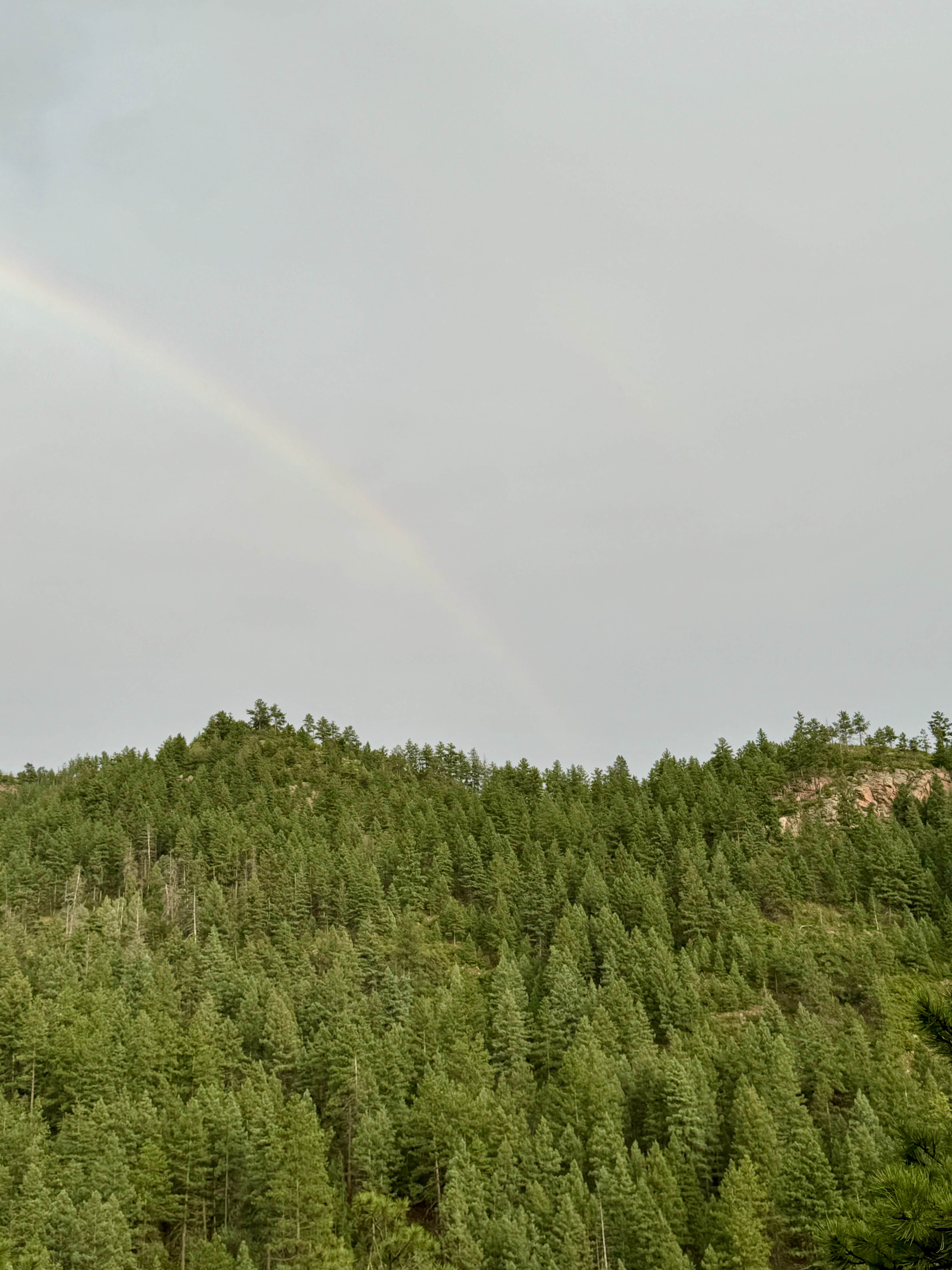 Camper-submitted photo at Phantom Canyon near Florence, CO
