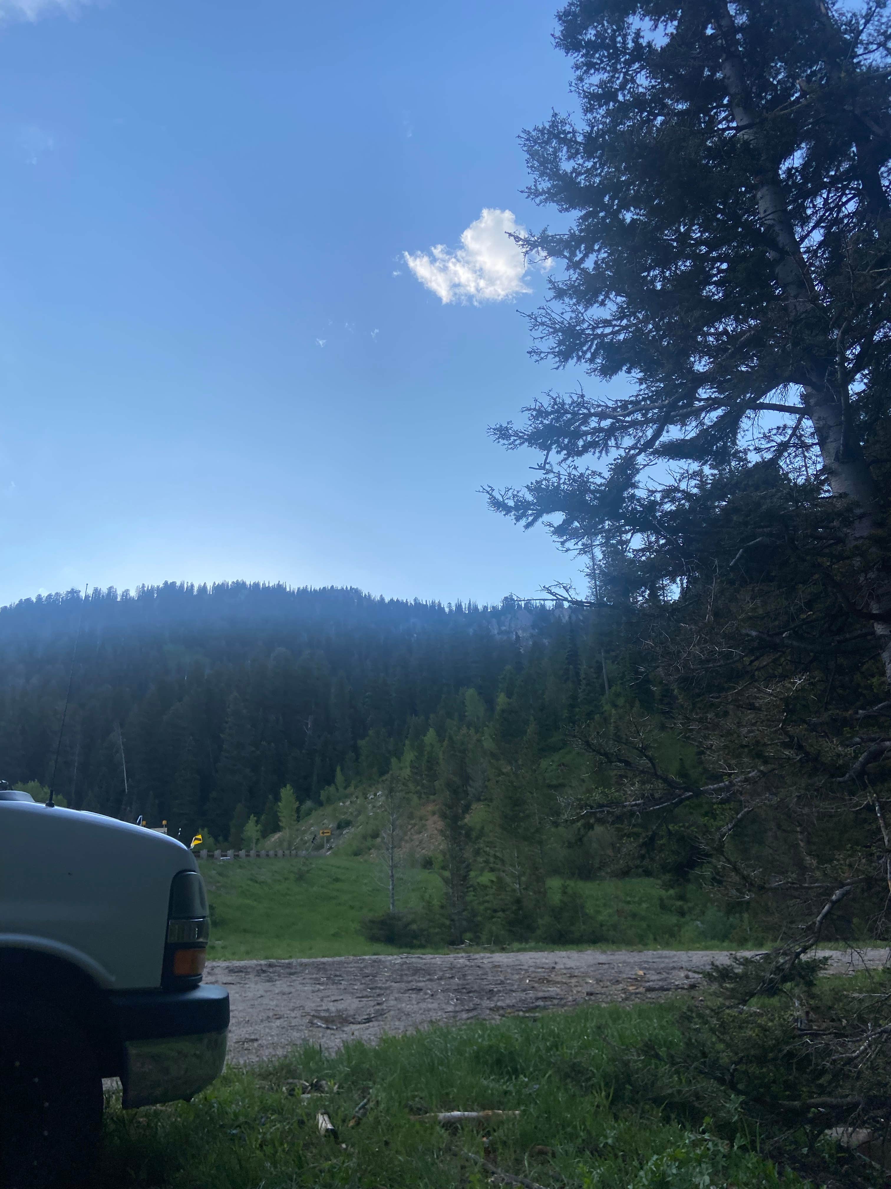 Camper submitted image from Phillips Bench Trailhead - 5
