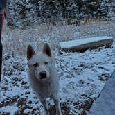 Review photo of Phillips Bench Trailhead by Mike J., October 25, 2024