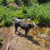 Review photo of Phillips Bench Trailhead by Caitlin E., July 12, 2026
