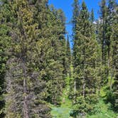 Review photo of Phillips Bench Trailhead by Caitlin E., July 12, 2026