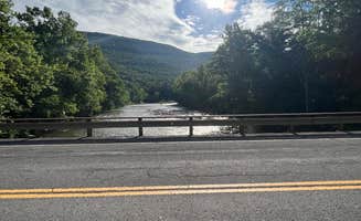 Tyler K.'s photo of camping with pets at Phoenicia Black Bear Campground near Roxbury, NY