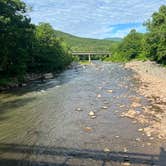 Review photo of Phoenicia Black Bear Campground by Tyler K., August 11, 2024