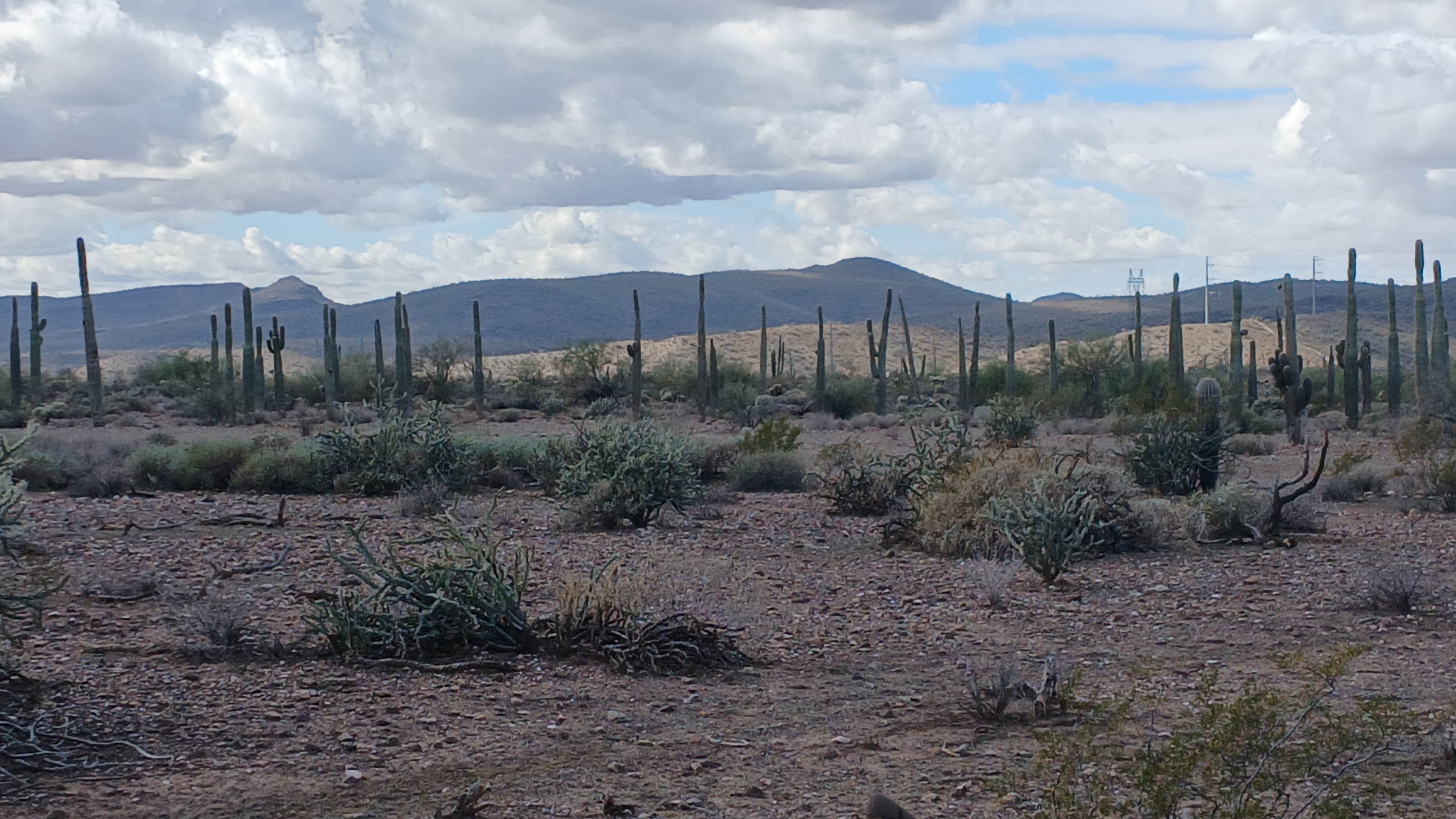 Camper-submitted photo at Phoenix reservoir near Phoenix, AZ