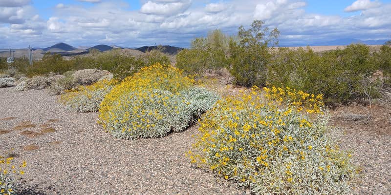 Camper submitted image from Phoenix reservoir