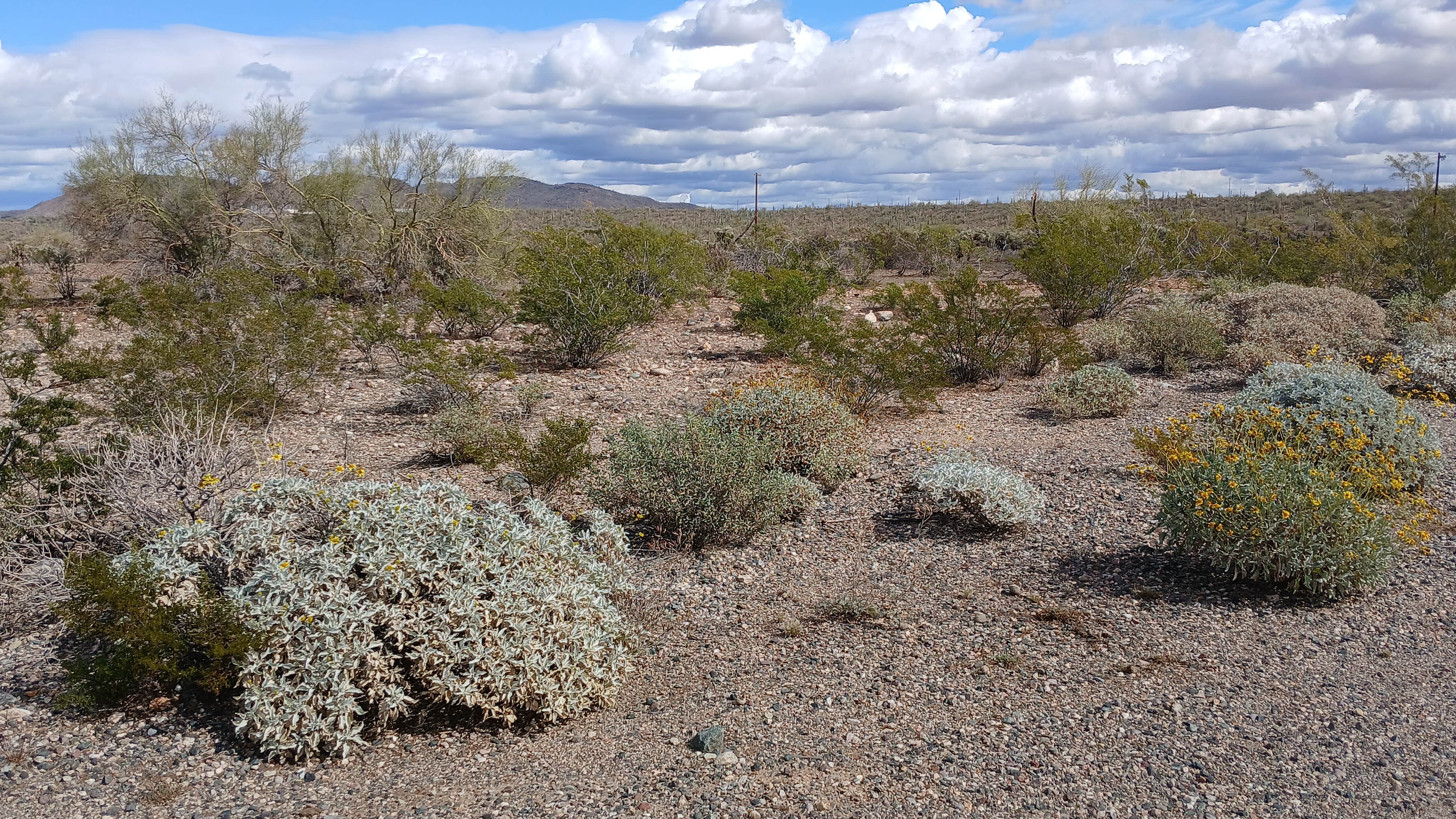 Camper-submitted photo at Phoenix reservoir near Phoenix, AZ