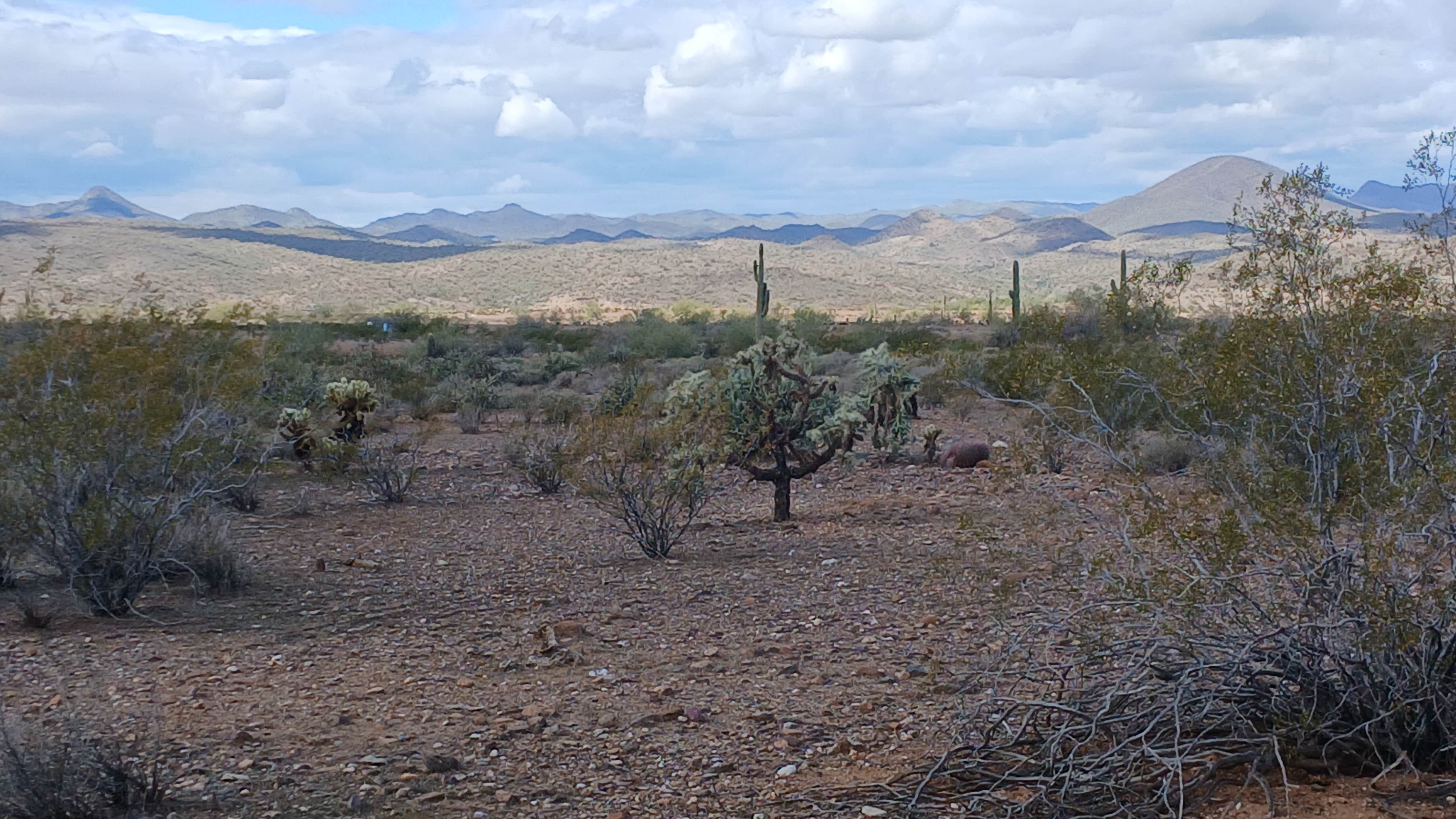 Camper-submitted photo at Phoenix reservoir near Phoenix, AZ