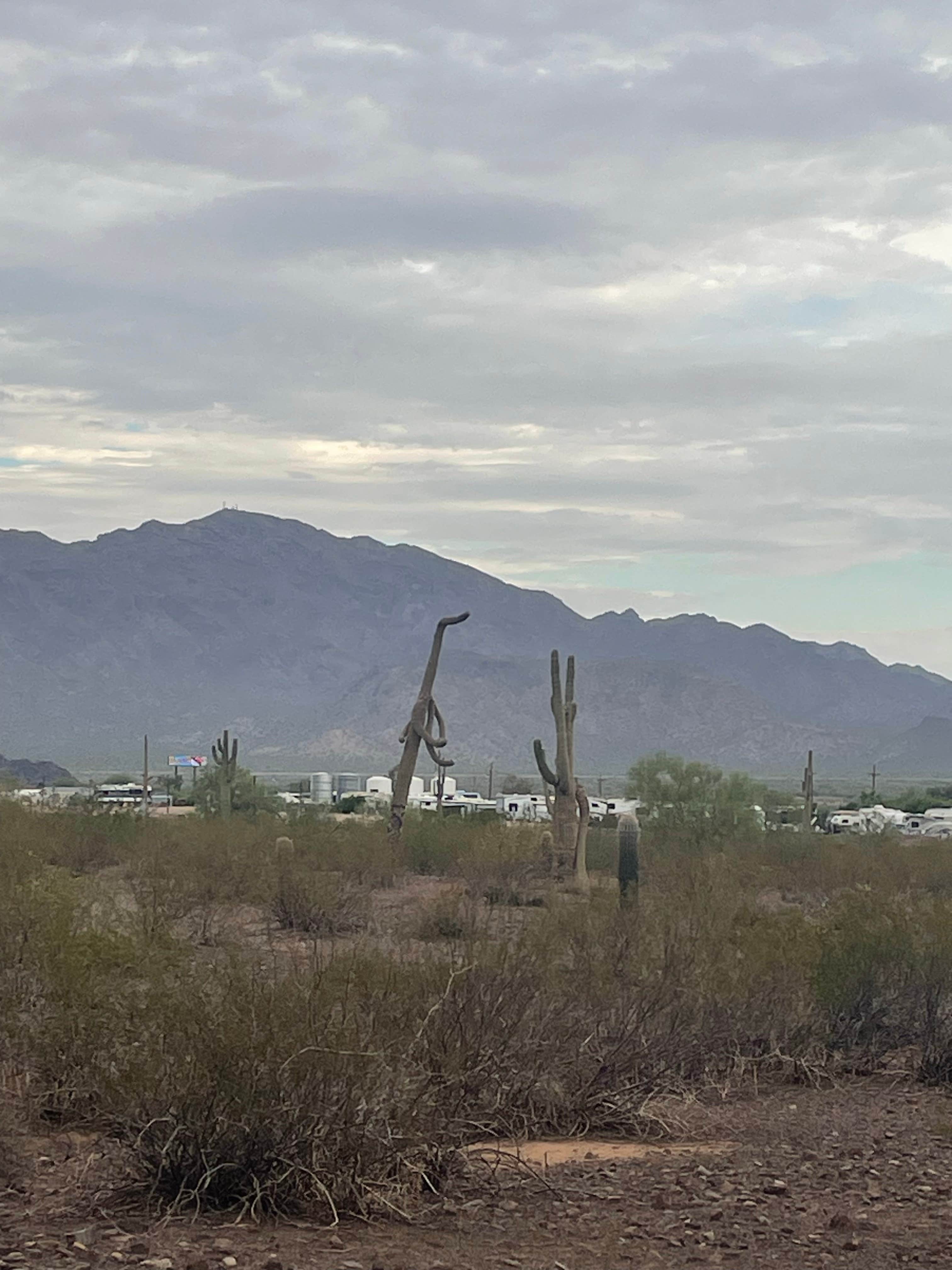 Camper-submitted photo at Picacho Peak RV Resort near Arizona City, AZ