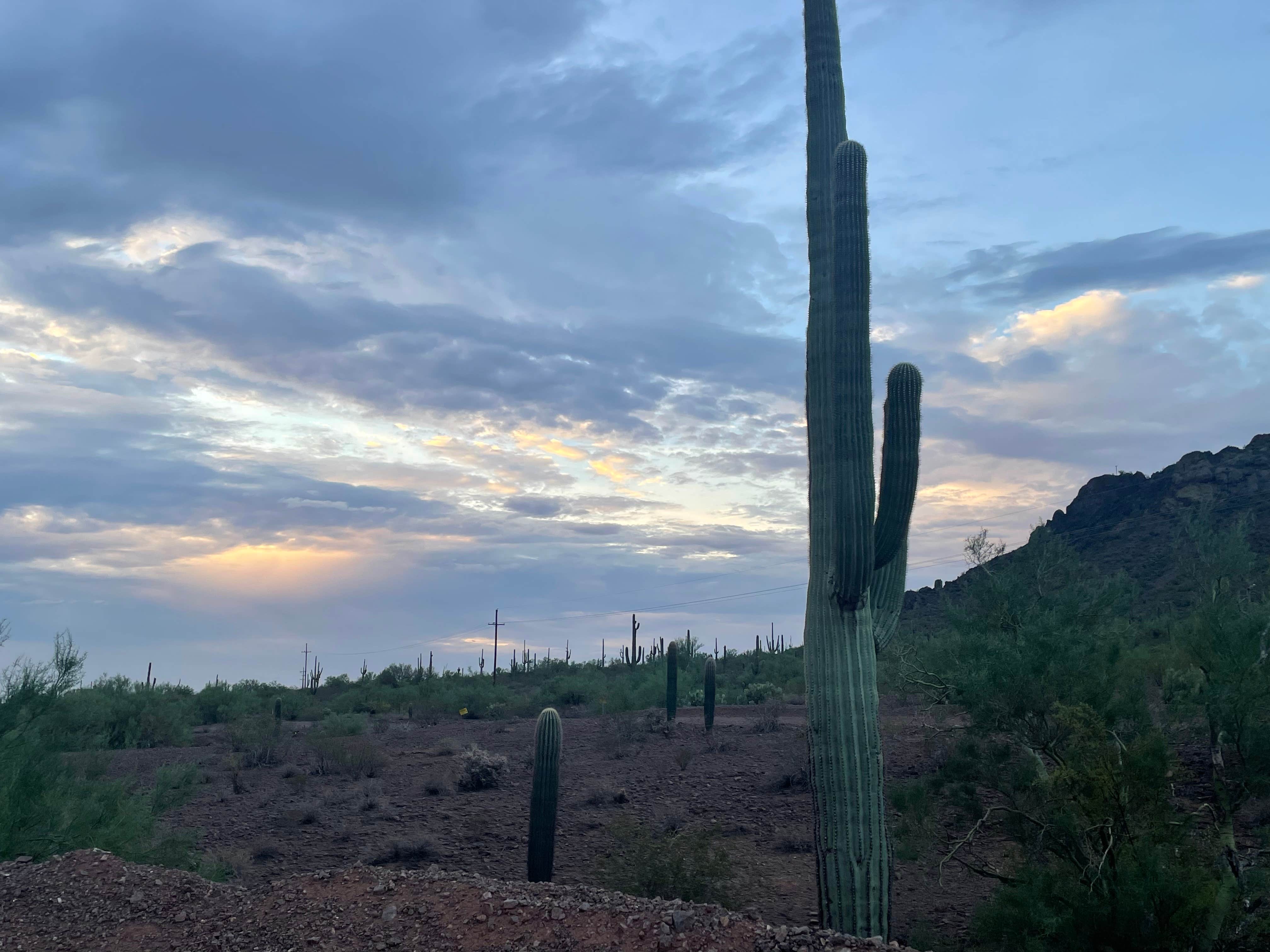Camper-submitted photo at Picacho Peak RV Resort near Arizona City, AZ