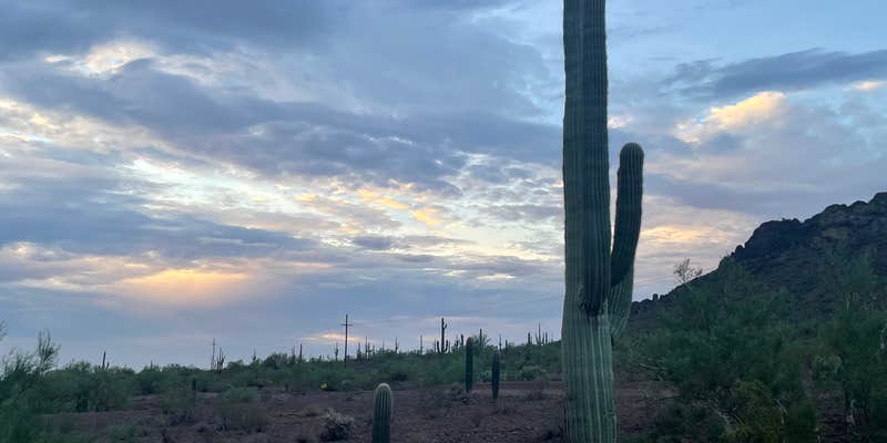 Camper submitted image from Picacho Peak RV Resort
