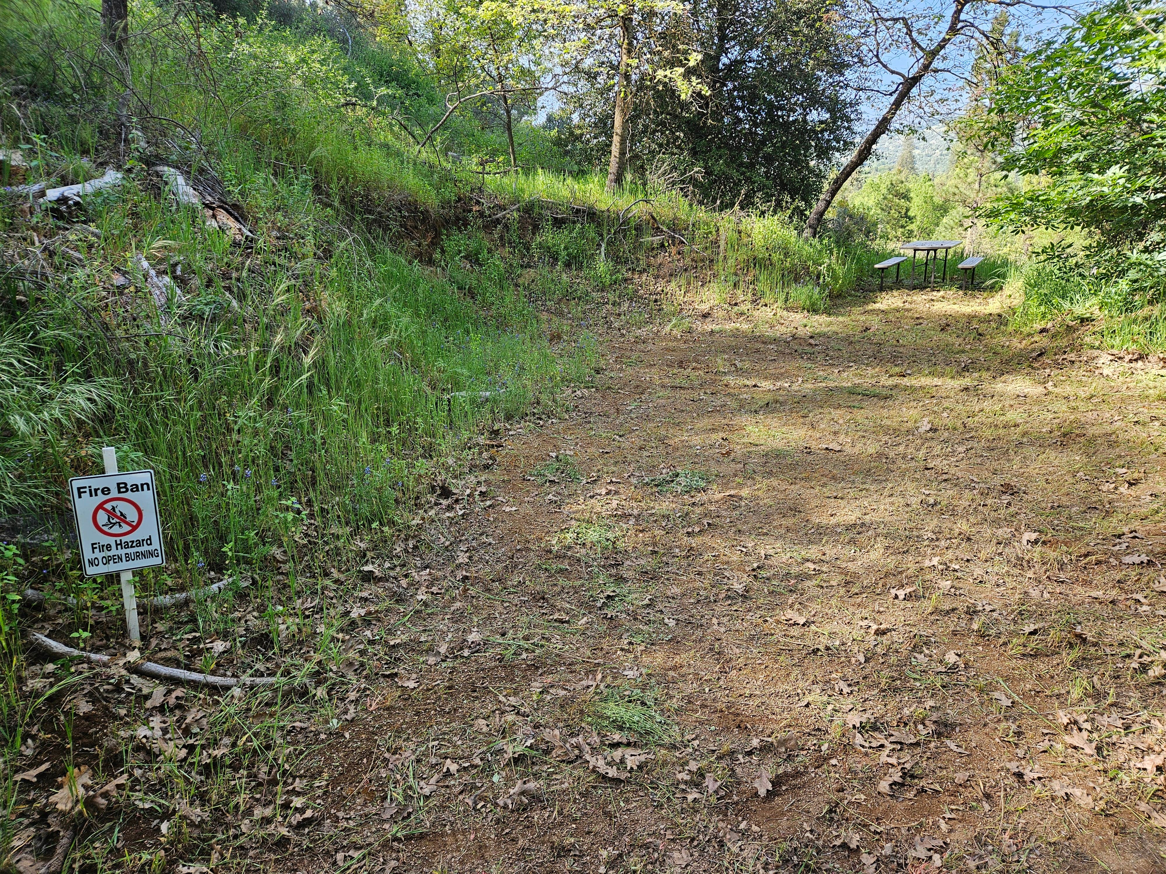 Camping near Dunlap canyon retreat: Picadilly hollows retreat, Badger, California