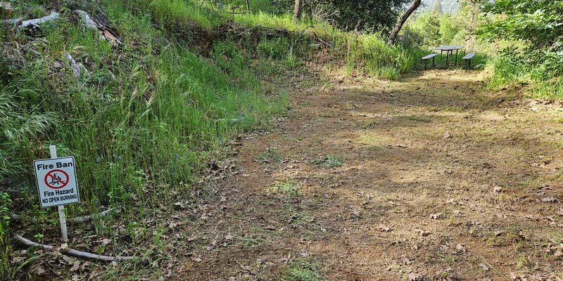 Camper submitted image from Picadilly hollows retreat