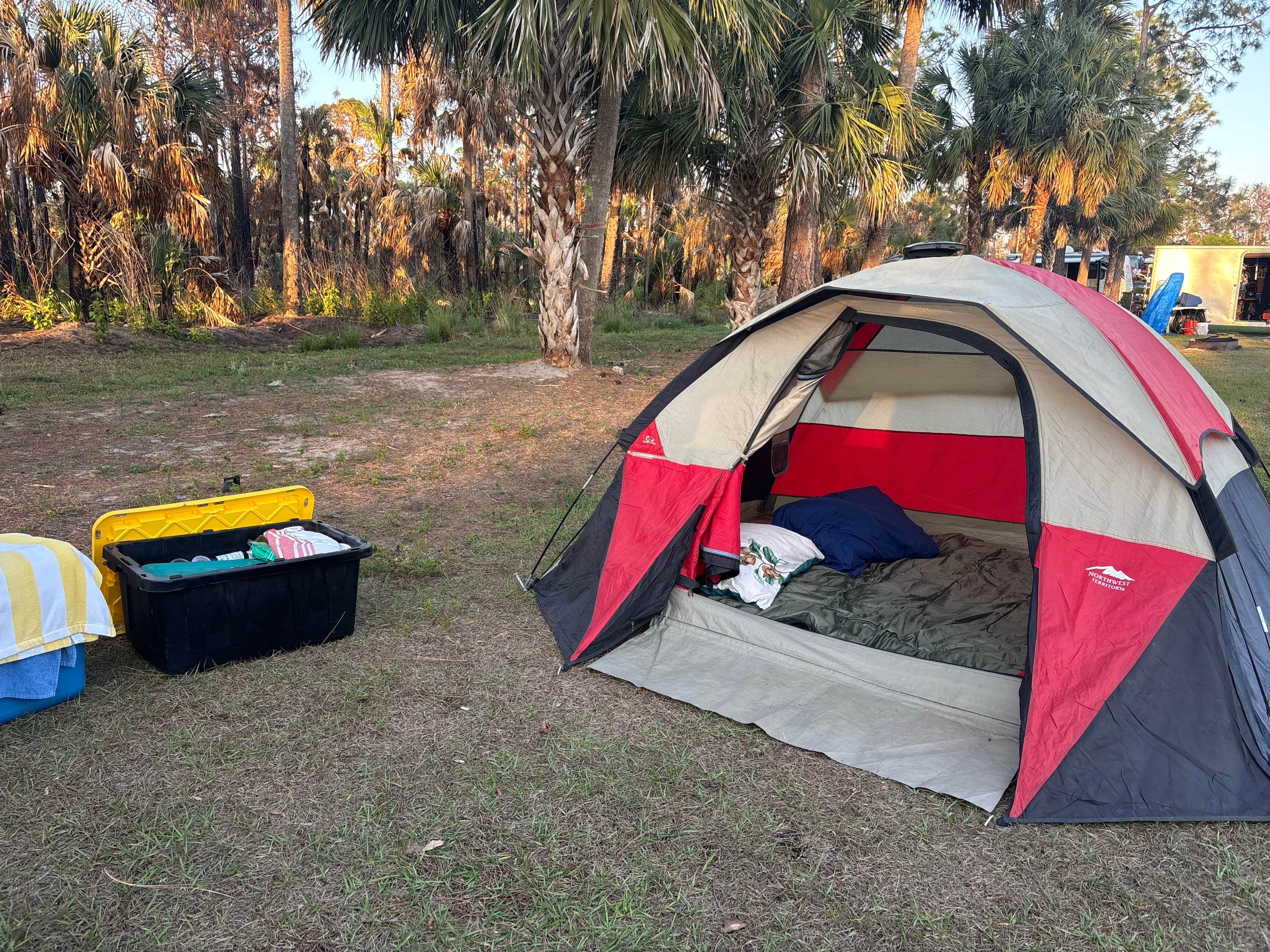 Teala S.'s photo at Horseshoe Primitive Campground in Picayune Strand State Forest near Estero, FL