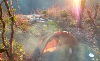 Ernesto H.'s photo at Picken's Nose Primitive Campground near Sky Valley, GA