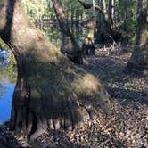 Review photo of Pickensville Campground by Anna M., October 15, 2025