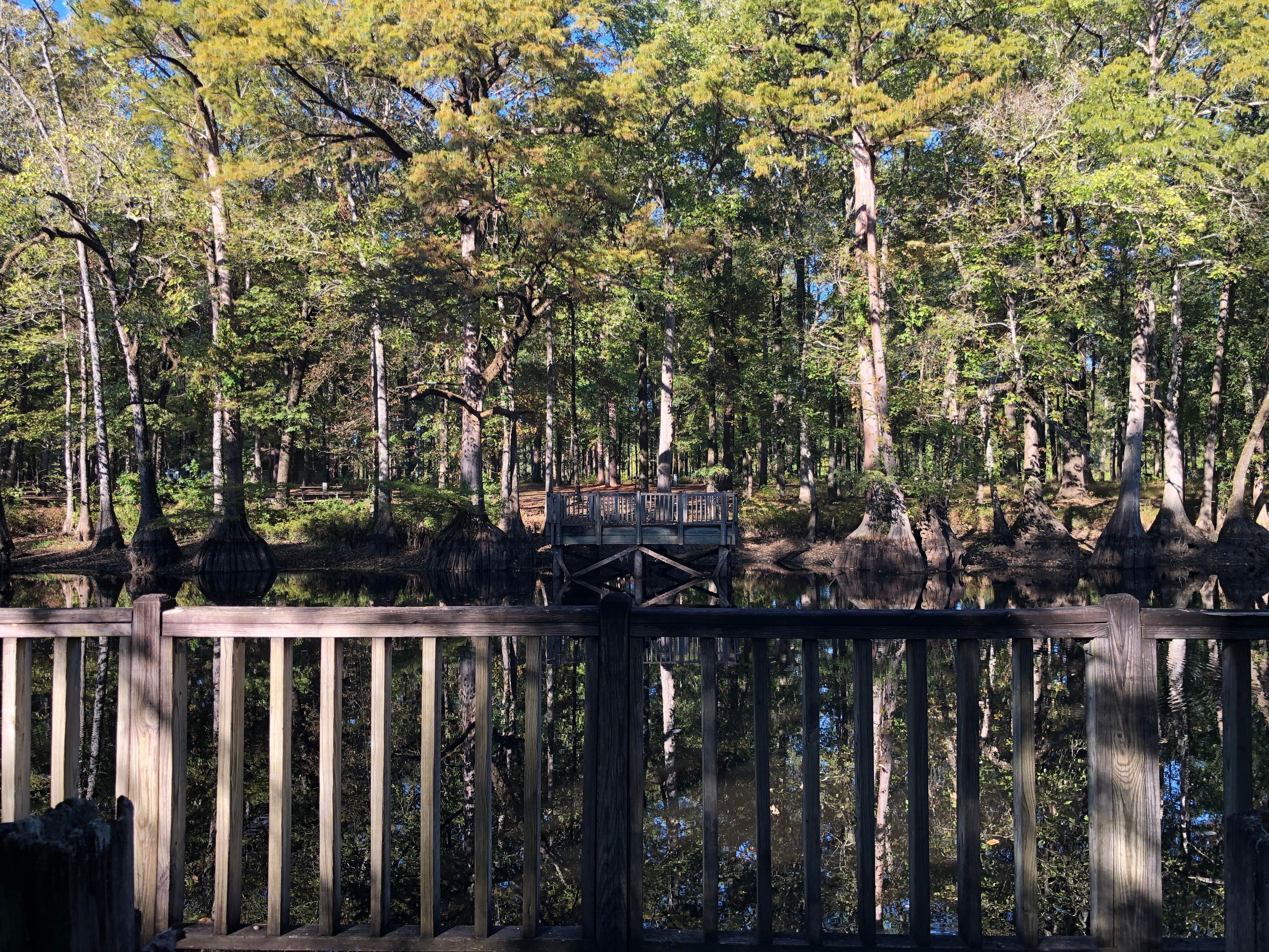 Camper-submitted photo at Pickensville Campground near Brooksville, MS