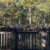 Review photo of Pickensville Campground by Anna M., October 15, 2025