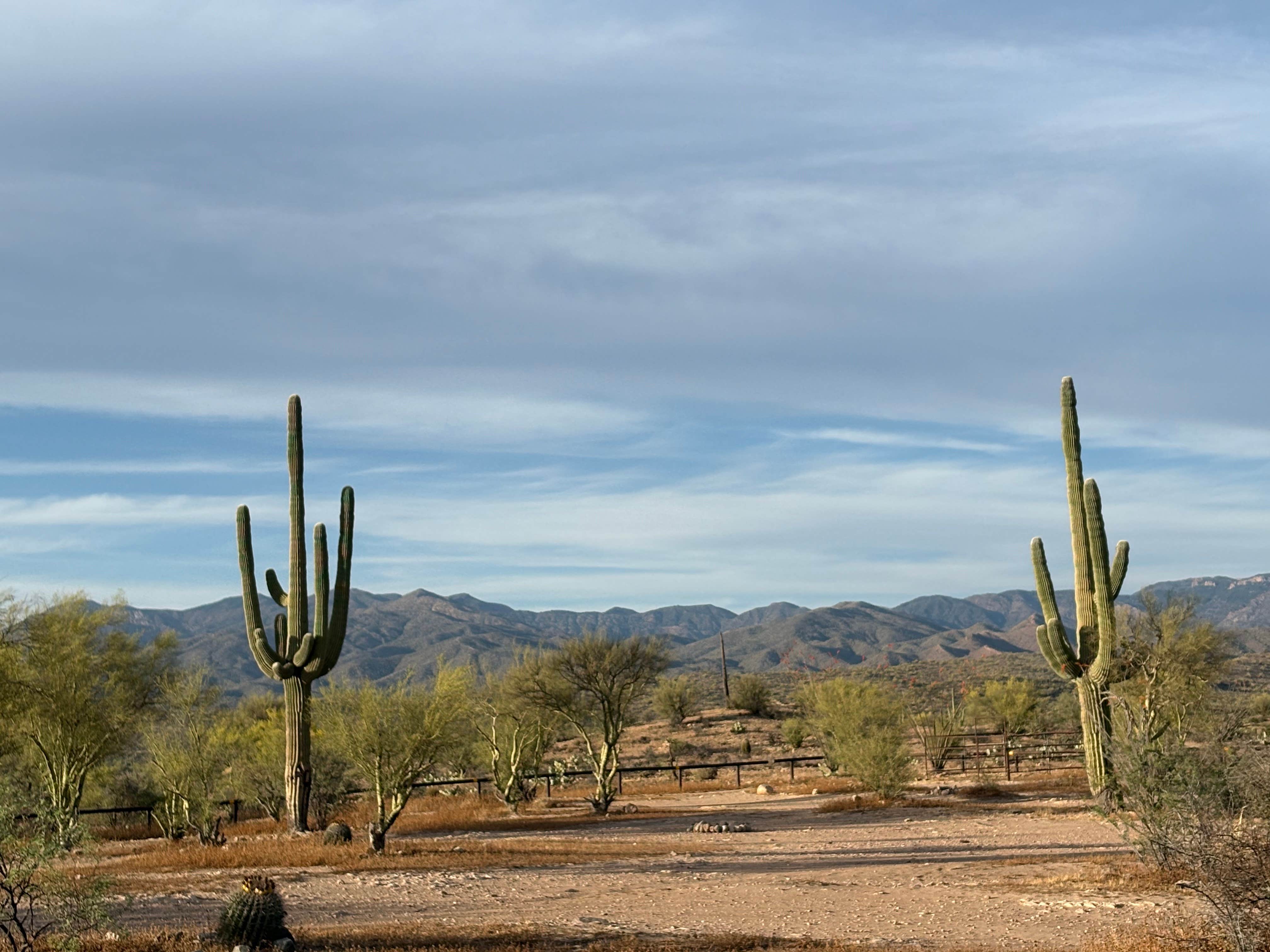 Camper-submitted photo at Picket Post dispersed near Superior, AZ