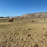 Review photo of Picketts RV Park by Lisa M., August 6, 2026