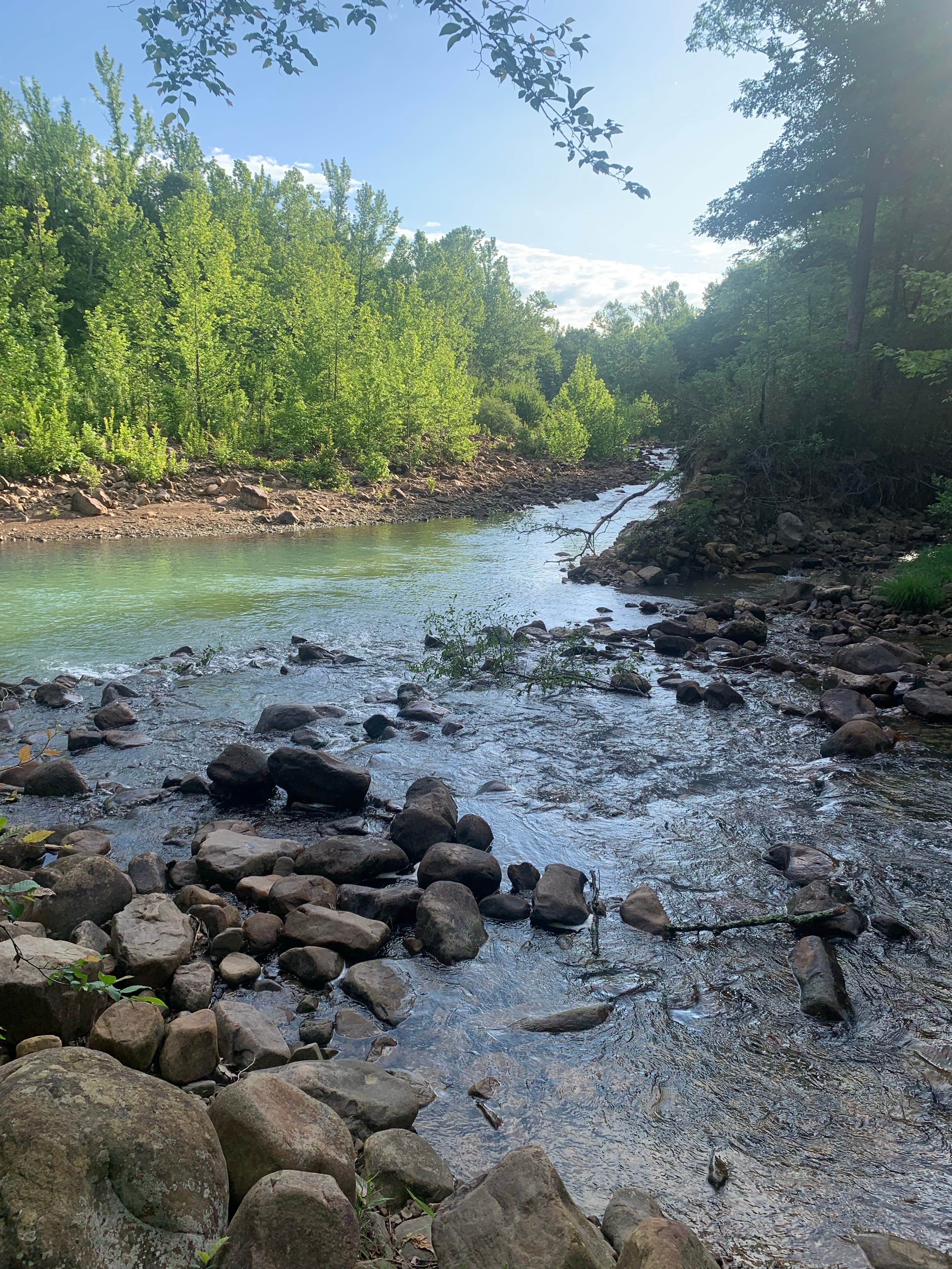 Camper-submitted photo at Pigeon Creek Dispersed near Big Cedar, OK