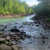 Review photo of Pigeon Creek Dispersed by azul darcy L., May 26, 2024