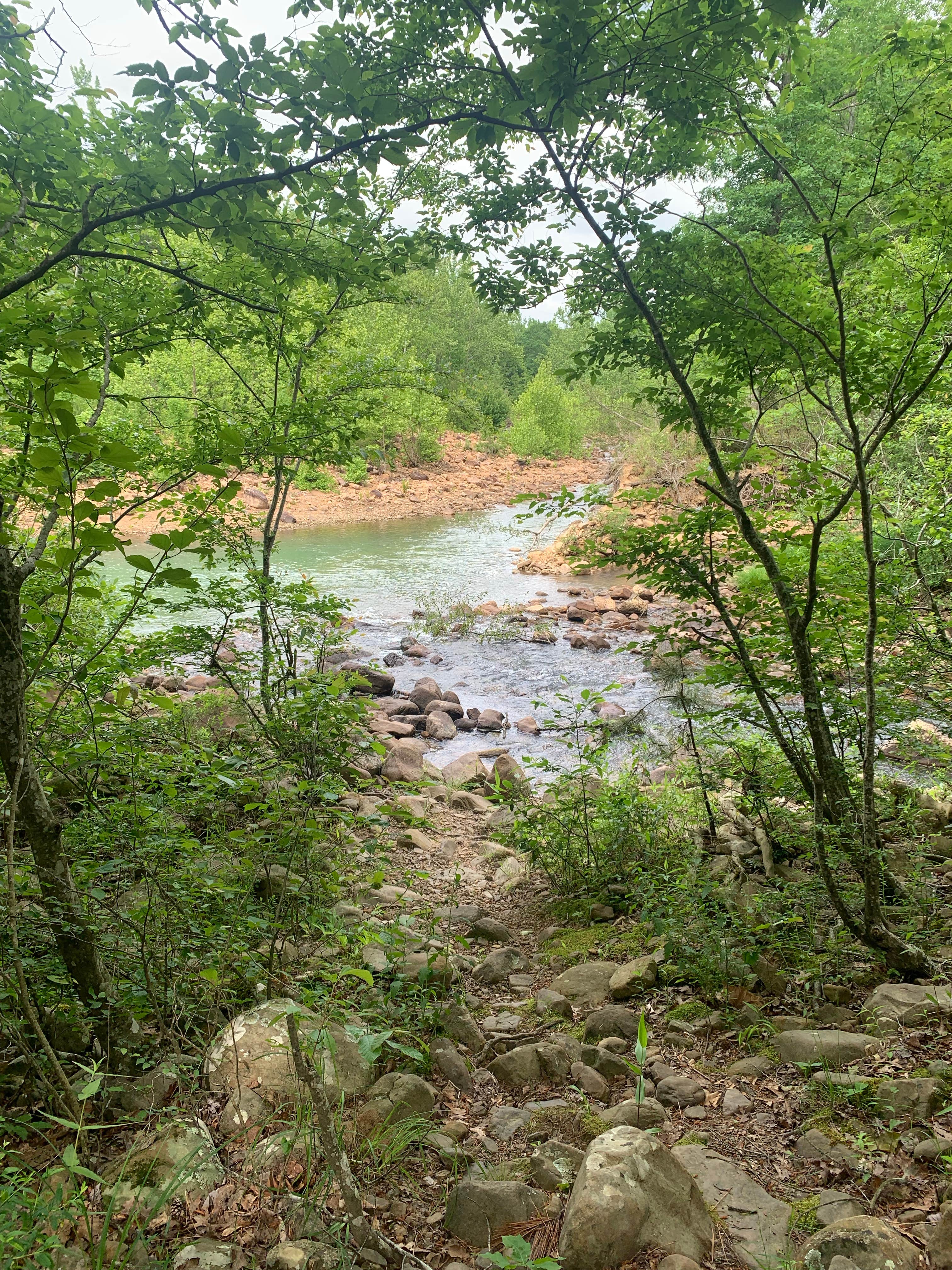 Camper-submitted photo at Pigeon Creek Dispersed near Vandervoort, AR