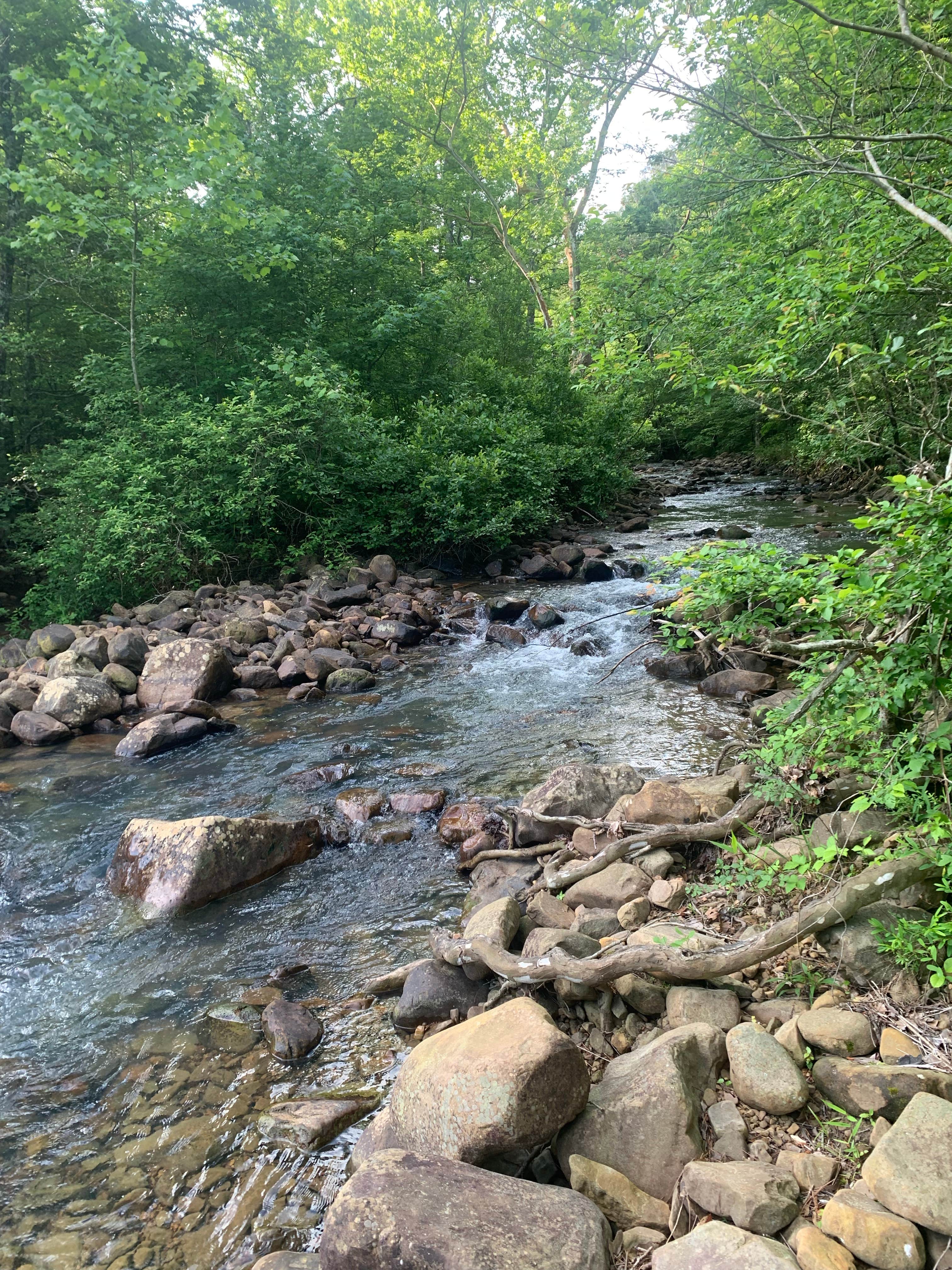 Pigeon Creek Dispersed