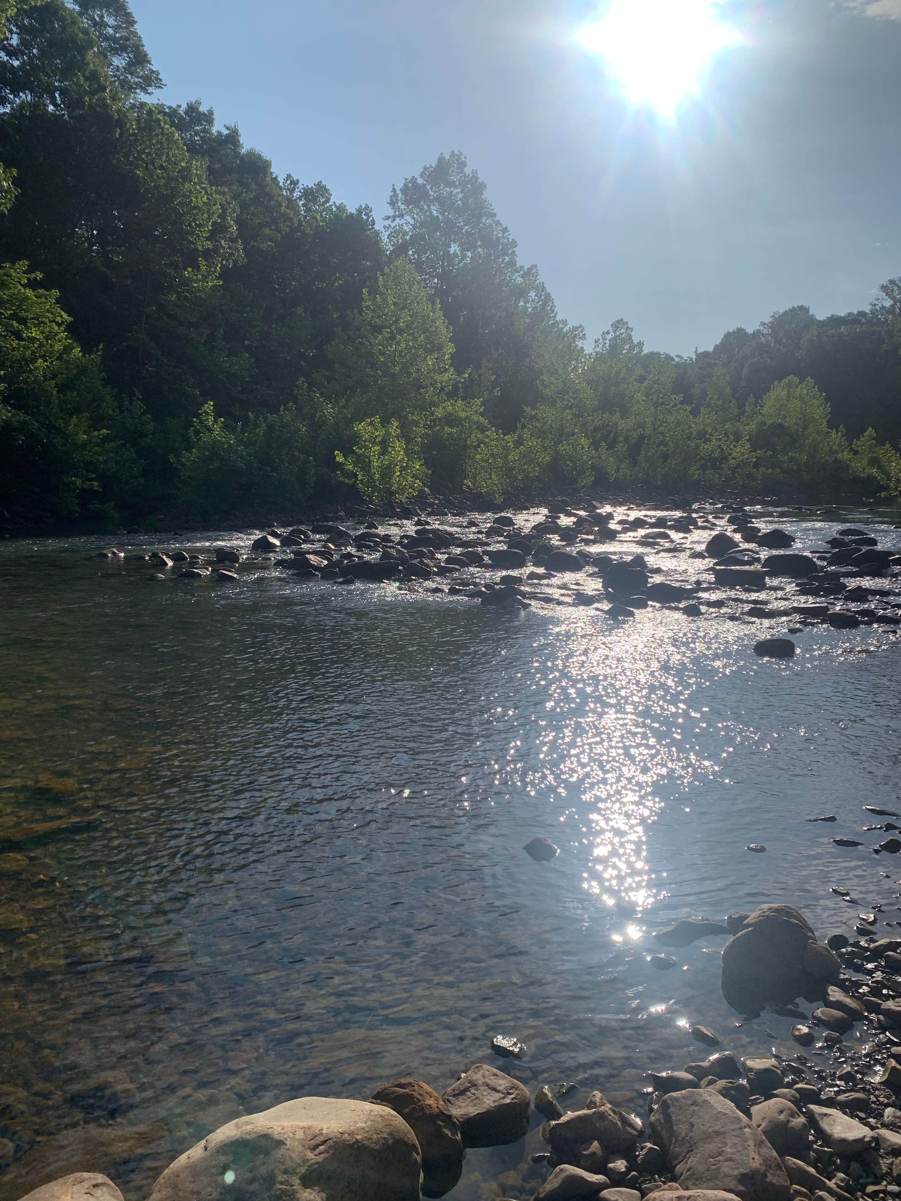 azul darcy L.'s photo of a dispersed camping area at Pigeon Creek Dispersed near Broken Bow, OK