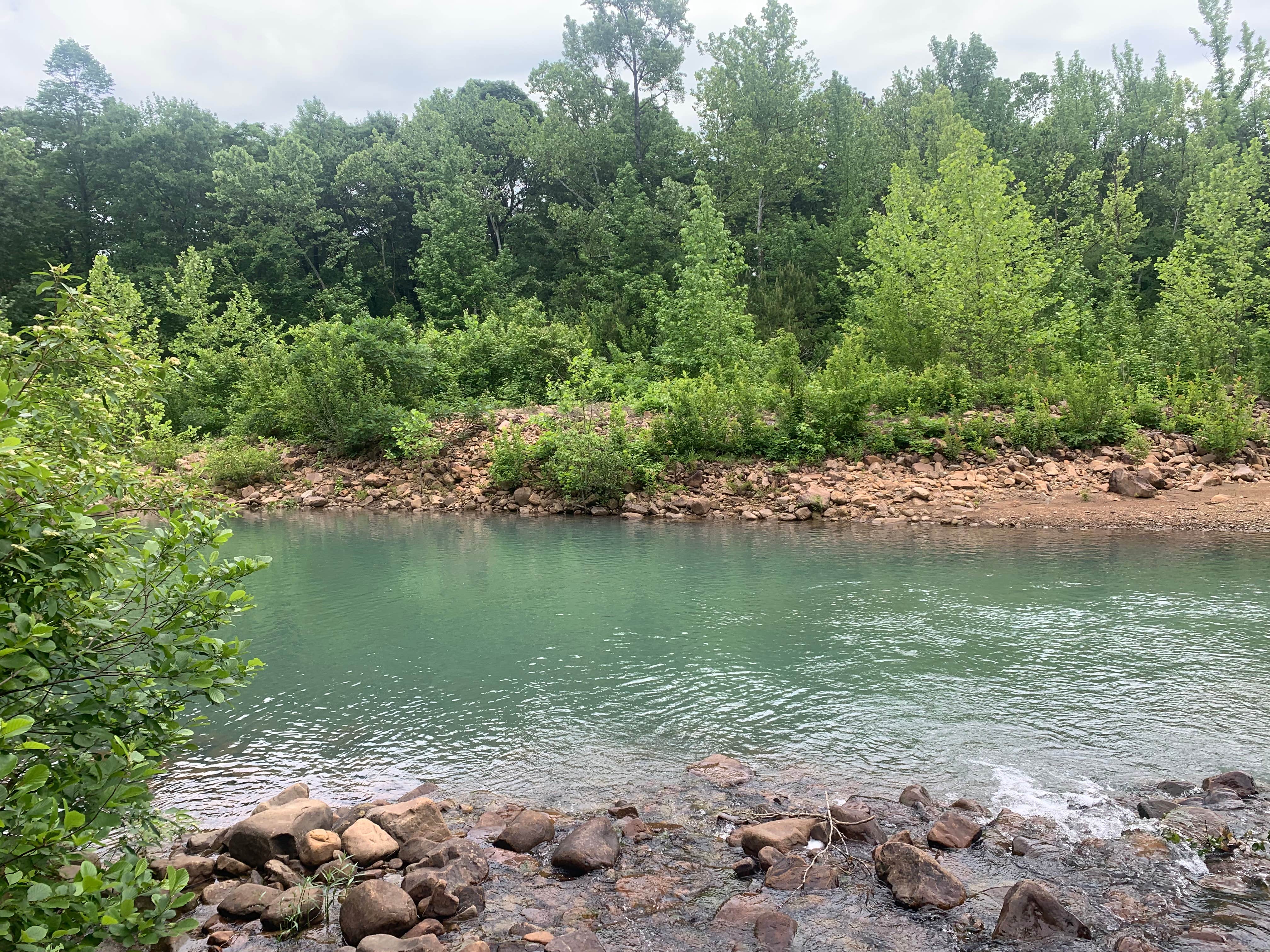 Camper-submitted photo at Pigeon Creek Dispersed near Vandervoort, AR