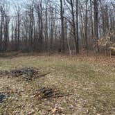 Review photo of Pigeon River State Forest dispersed camping by Carolyn S., April 21, 2026